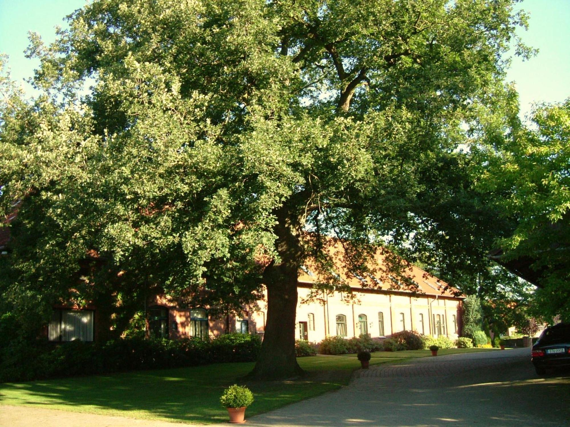Gaestehaus Schlossgarten Etelsen Екстер'єр фото